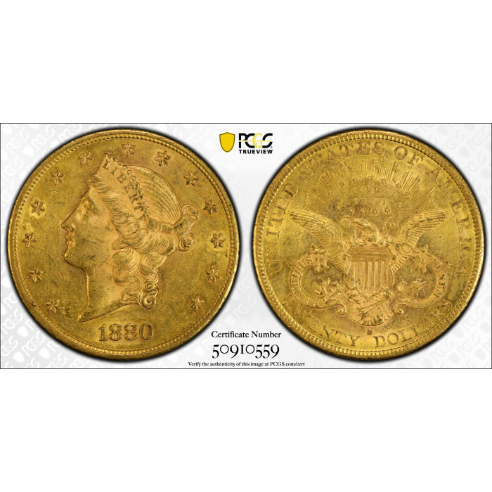 1880-S $20 Liberty Head Double Eagle PCGS AU DETAIL Damaged