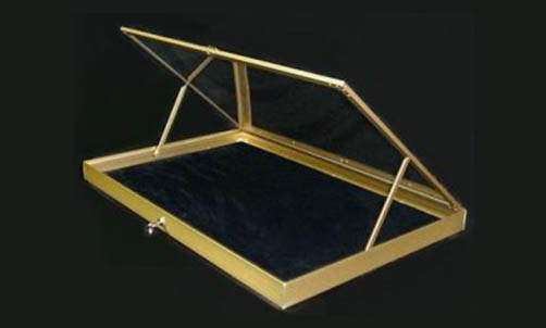 gold ace case